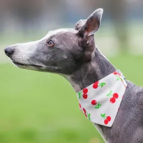 Creature Clothes Slip On Dog Bandana Cherries