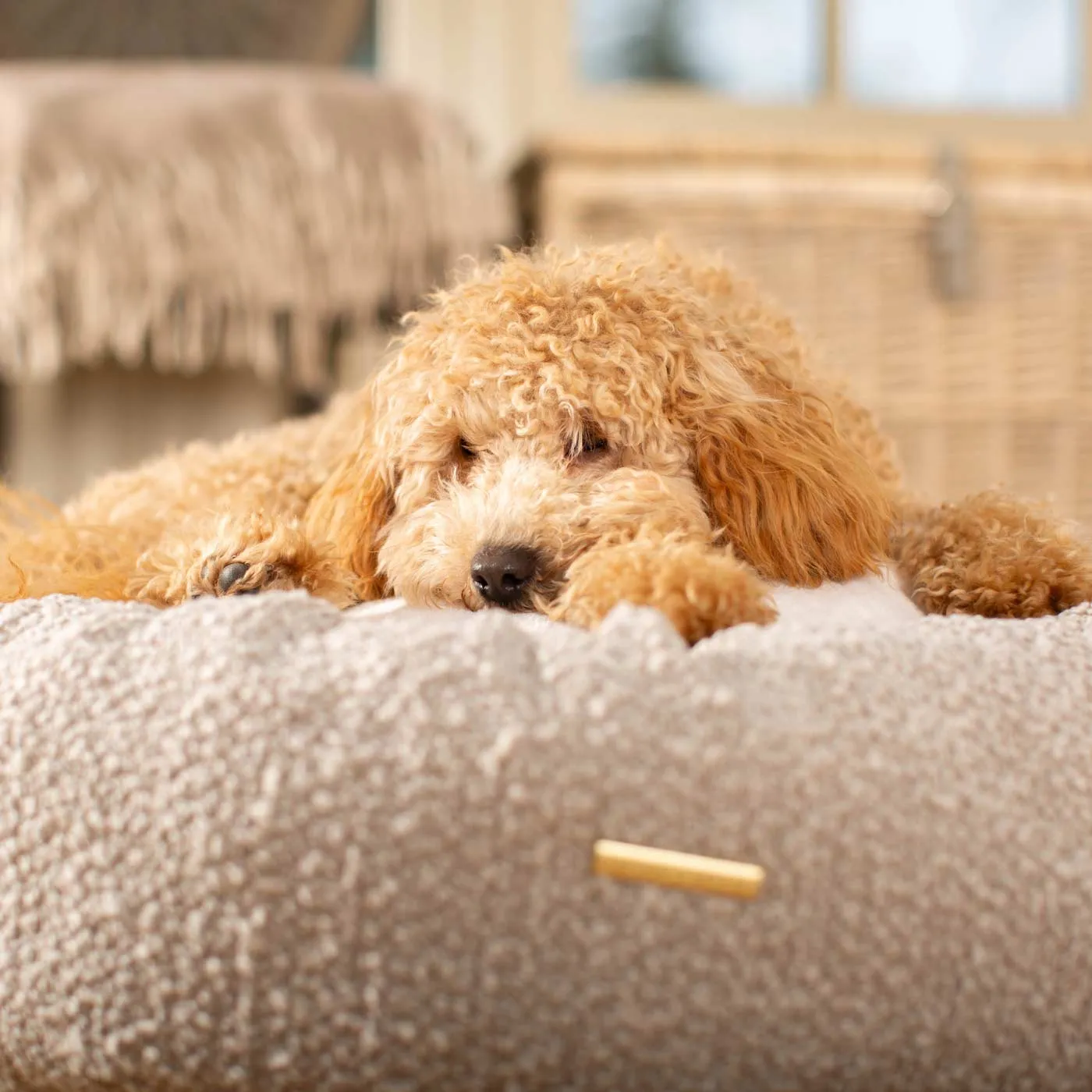 Donut Bed With Removable Covers in Mink Bouclé by Lords & Labradors