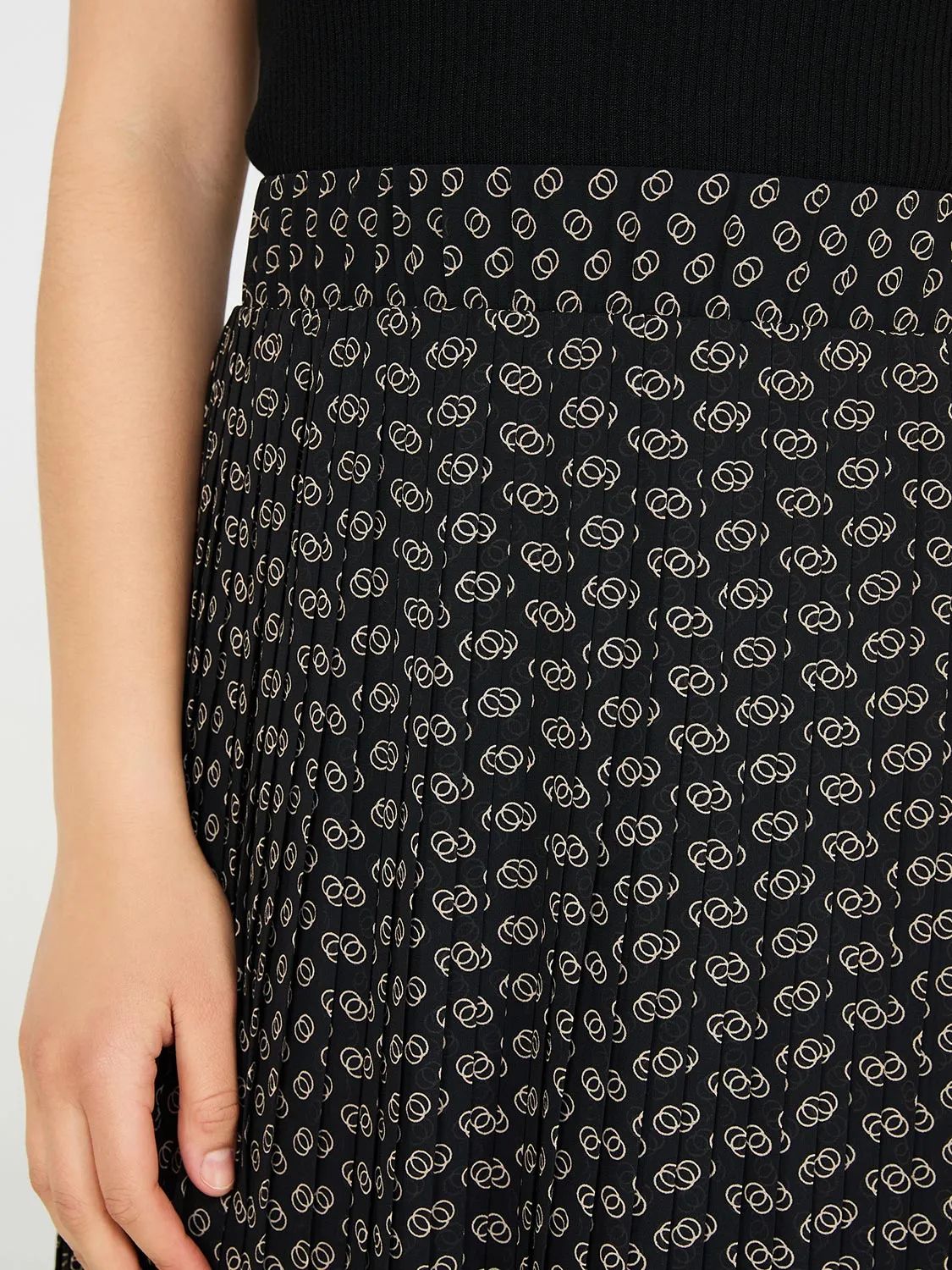 Printed Pleated Chiffon Skirt